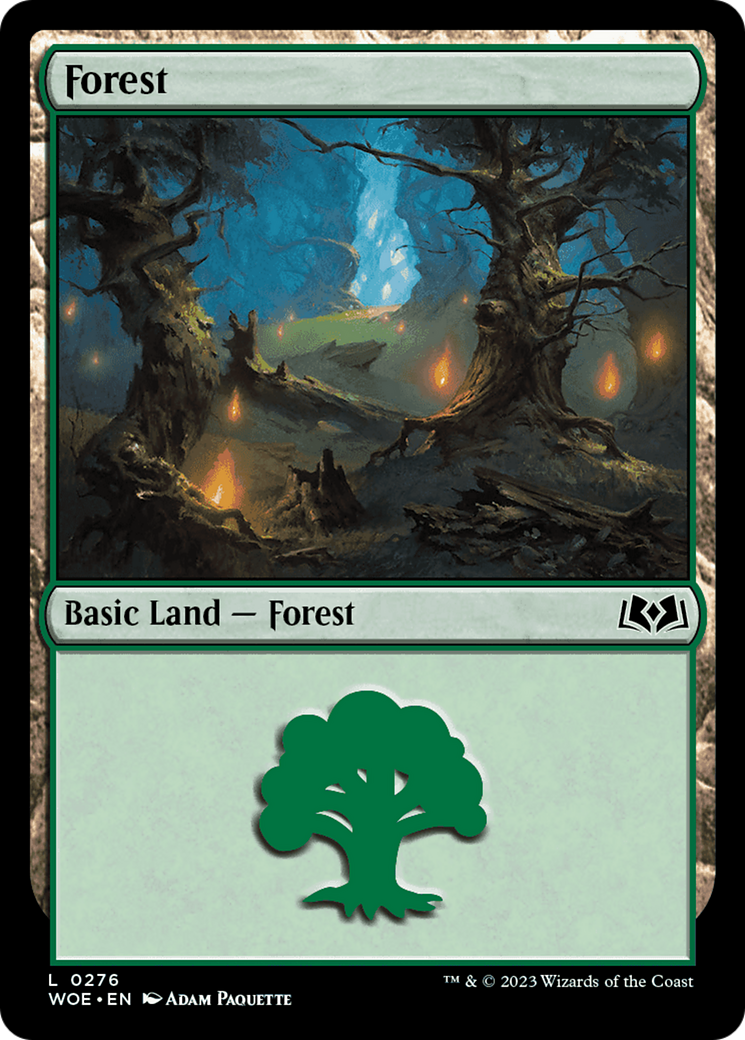 Forest (WOE-276) - Wilds of Eldraine