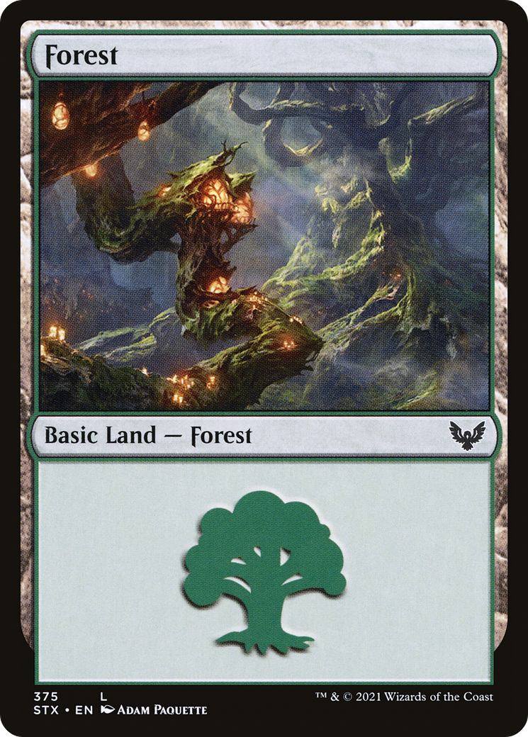 Forest (STX-375) - Strixhaven: School of Mages