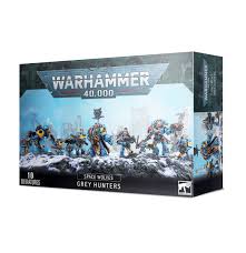 Space Wolves:  Grey Hunters