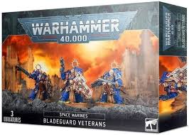 Space Marines:  Bladeguard Veterans