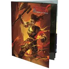 Dungeons and Dragons:  Character Folio Fighter